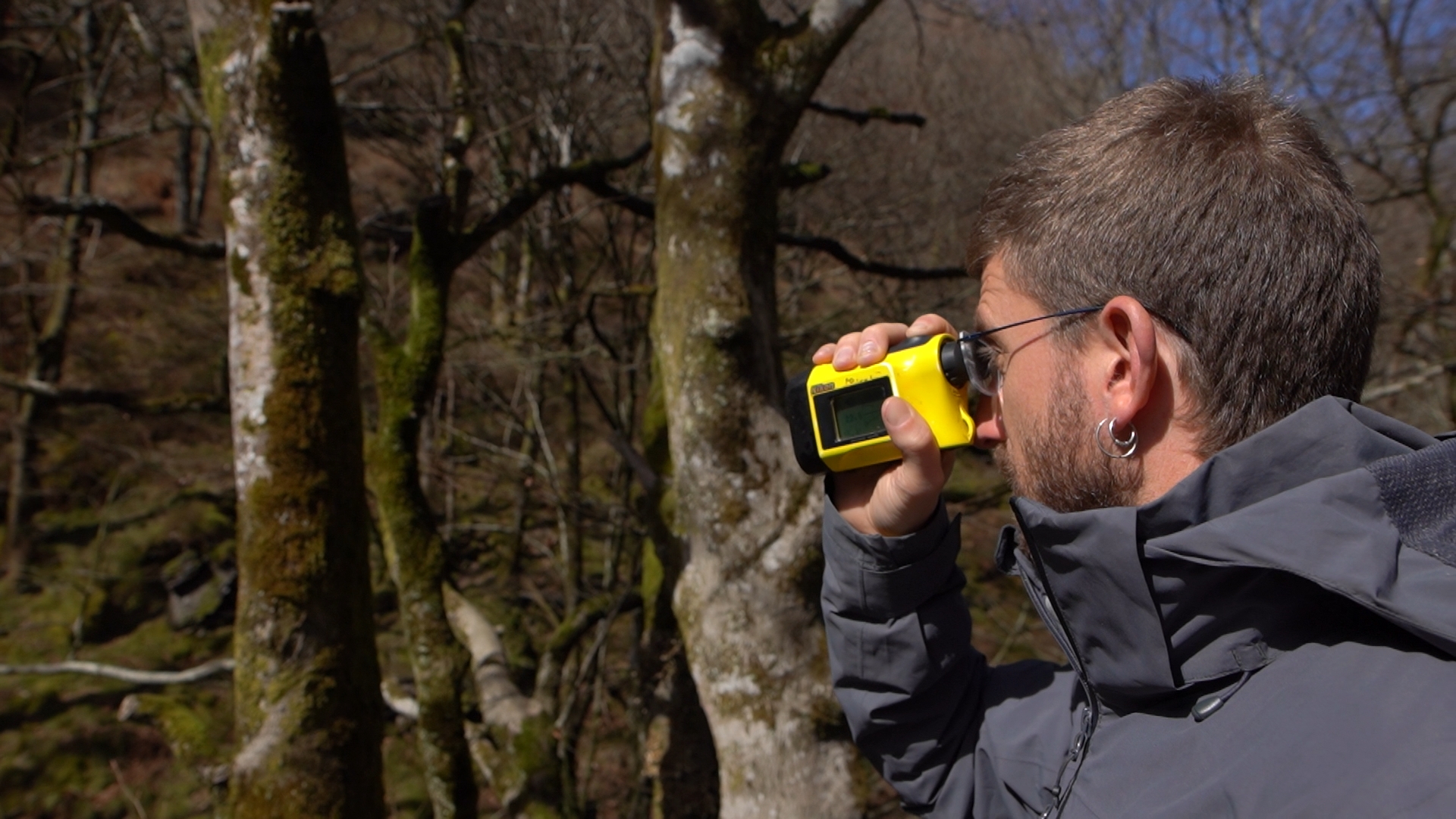 Material dasométrico e inventarios forestales