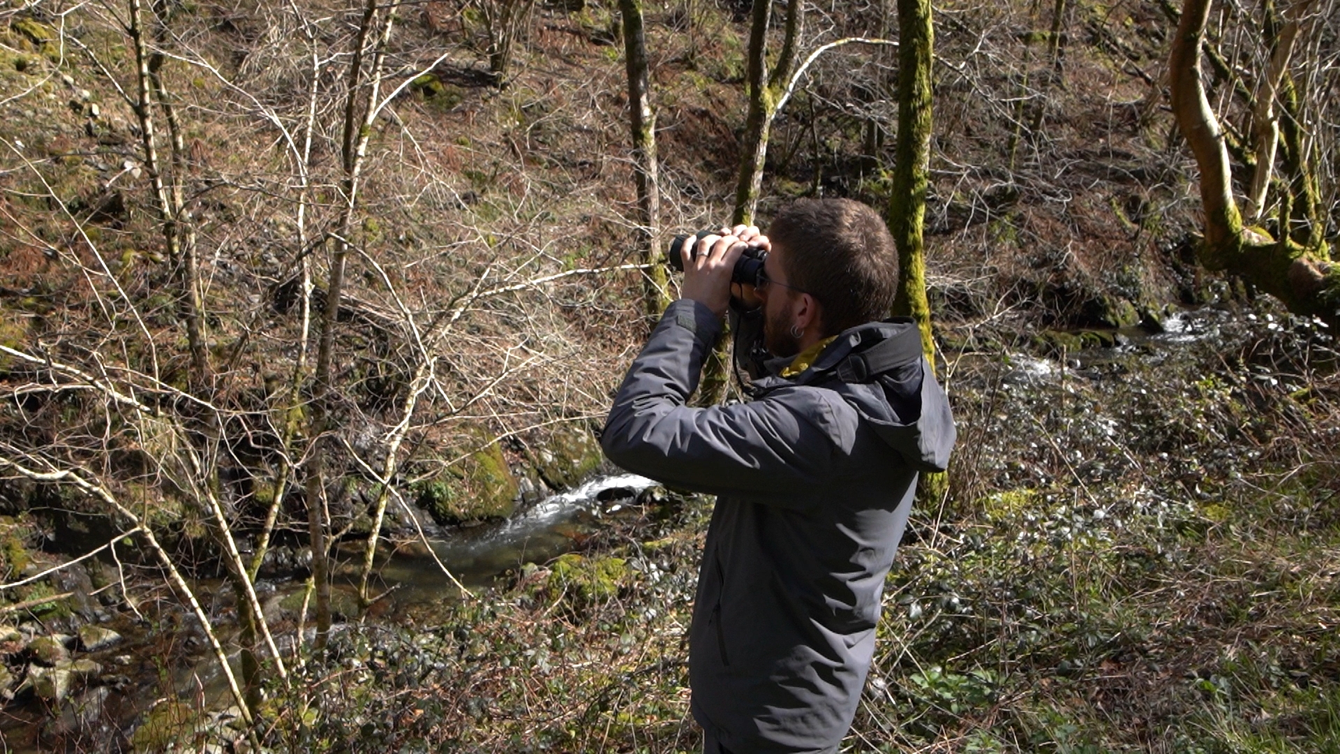 Material dasométrico e inventarios forestales