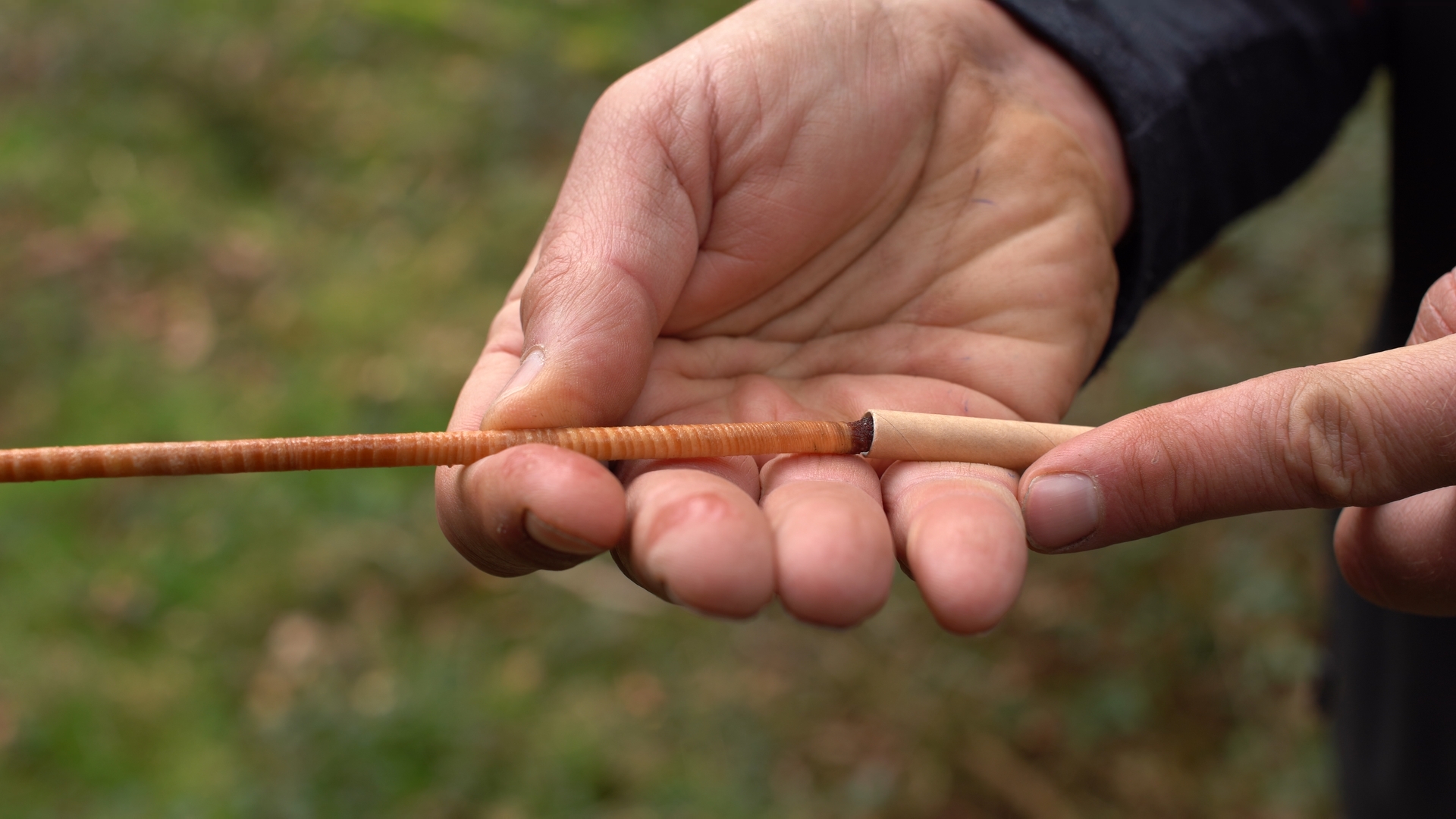 Material dasométrico e inventarios forestales