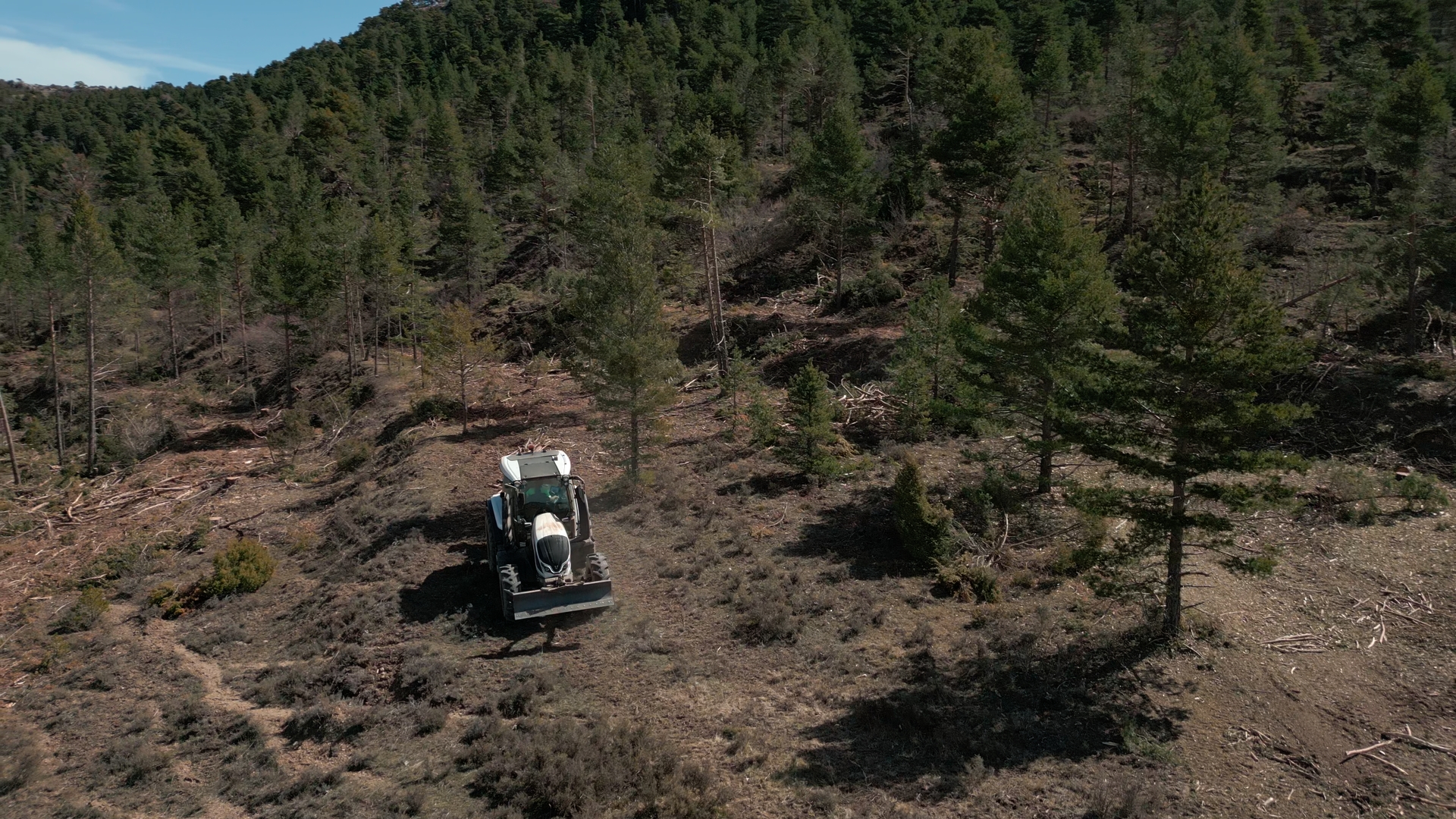 Maquinaria forestal