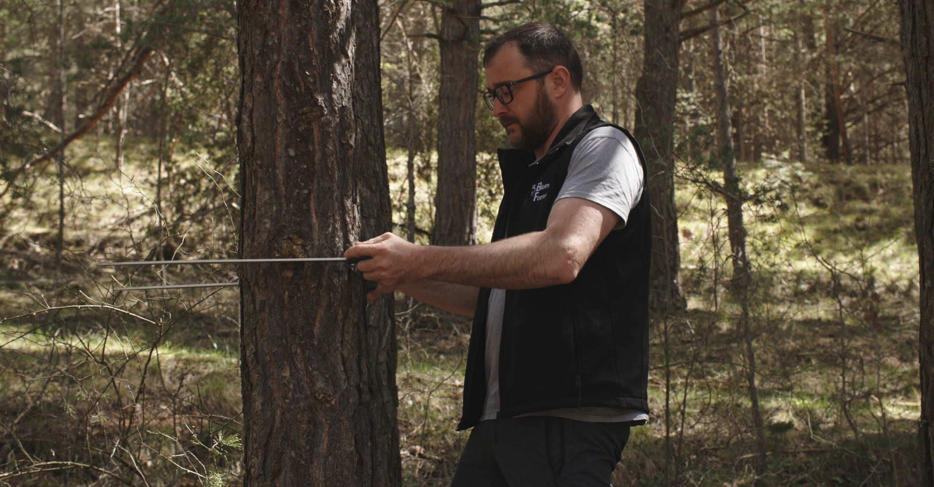 Material dasométrico e inventarios forestales