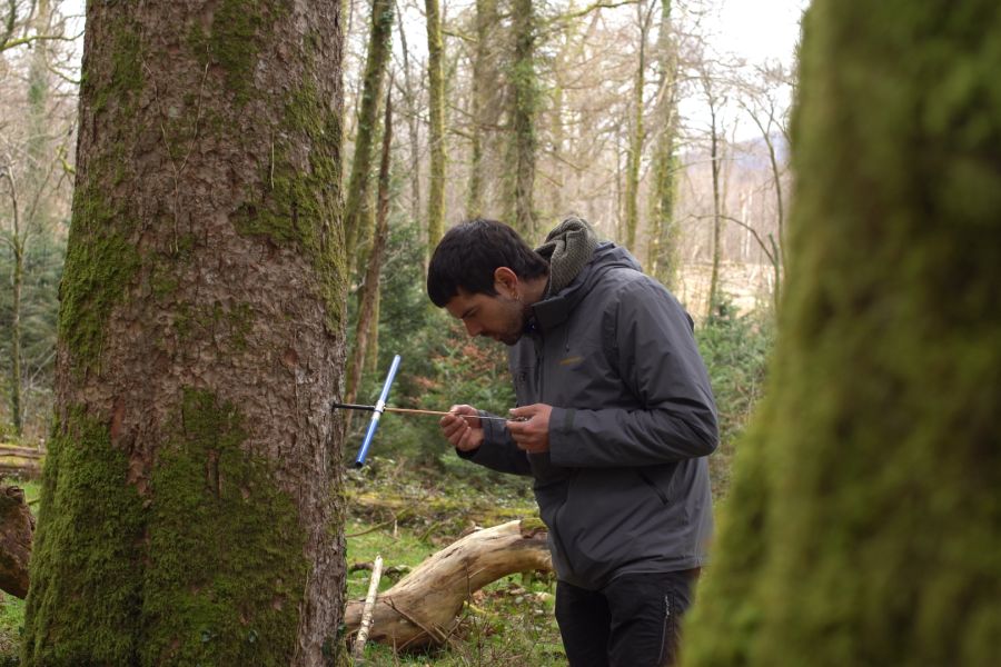 foto proyecto Planificación y ordenación forestal