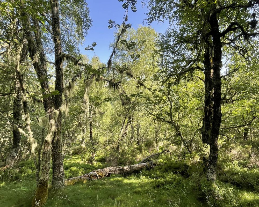 Conservación y biodiversidad