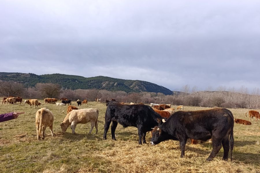 foto proyecto Asesoramiento a propietarios