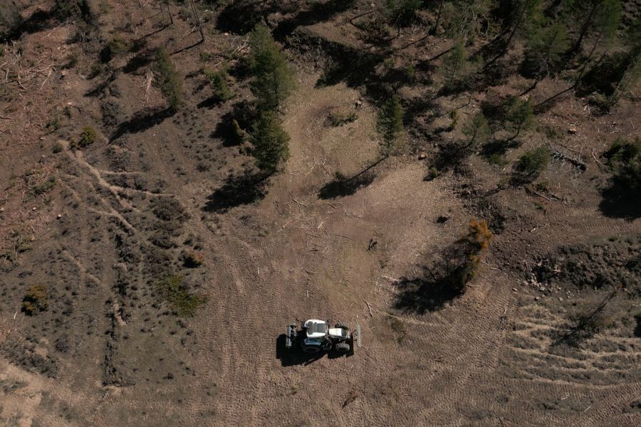 foto proyecto Aprovechamientos y tratamientos forestales