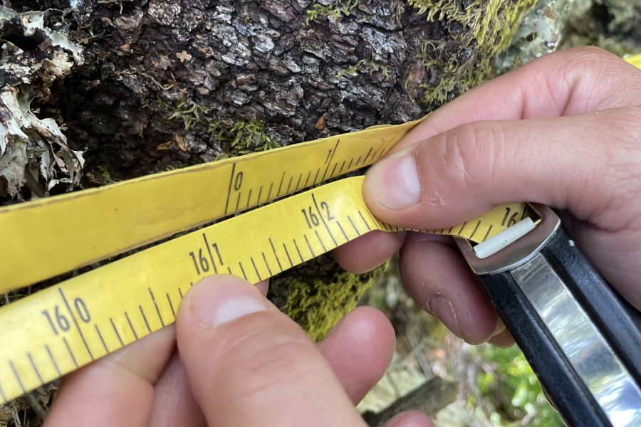 foto proyecto Evaluación ecológica