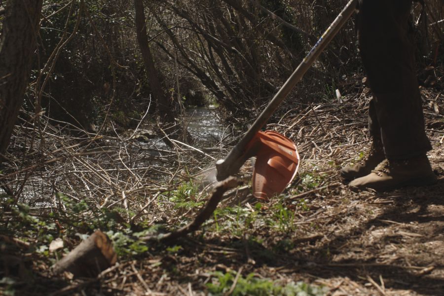 foto proyecto Aprovechamientos y tratamientos forestales