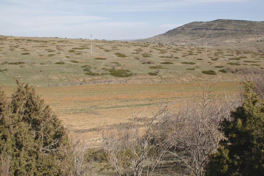 foto proyecto Aprovechamientos y tratamientos forestales