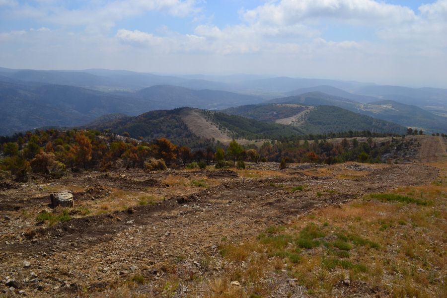 foto proyecto Prevención de incendios