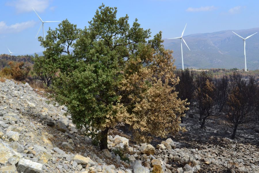 foto proyecto Prevención de incendios
