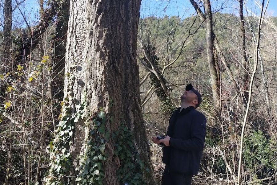 foto proyecto Evaluación ecológica