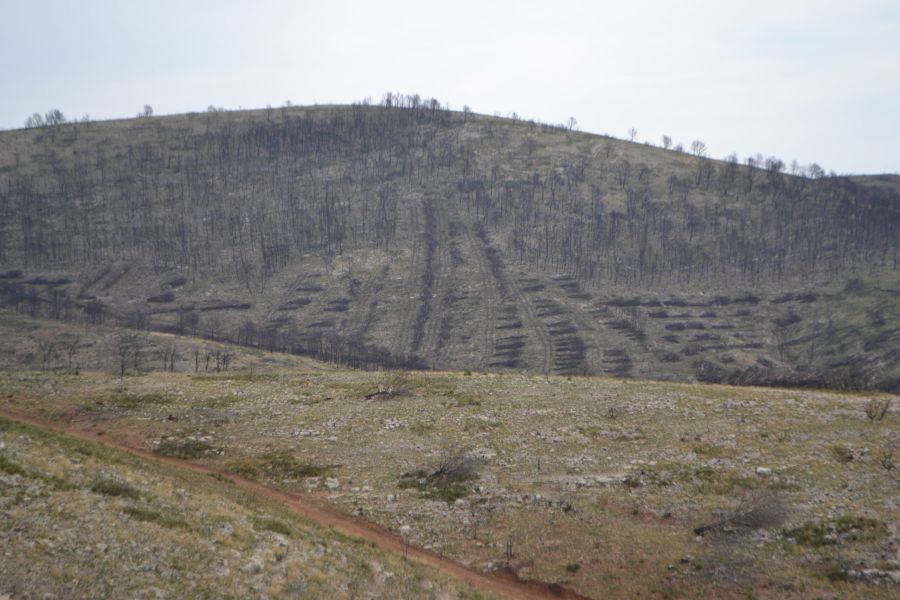 foto proyecto Prevención de incendios