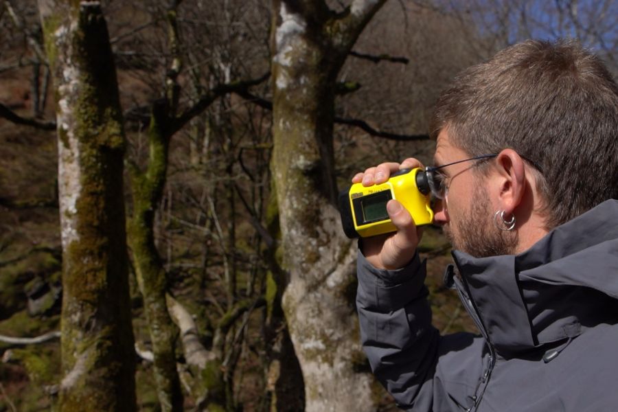 foto proyecto Planificación y ordenación forestal
