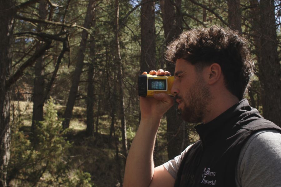 foto proyecto Planificación y ordenación forestal