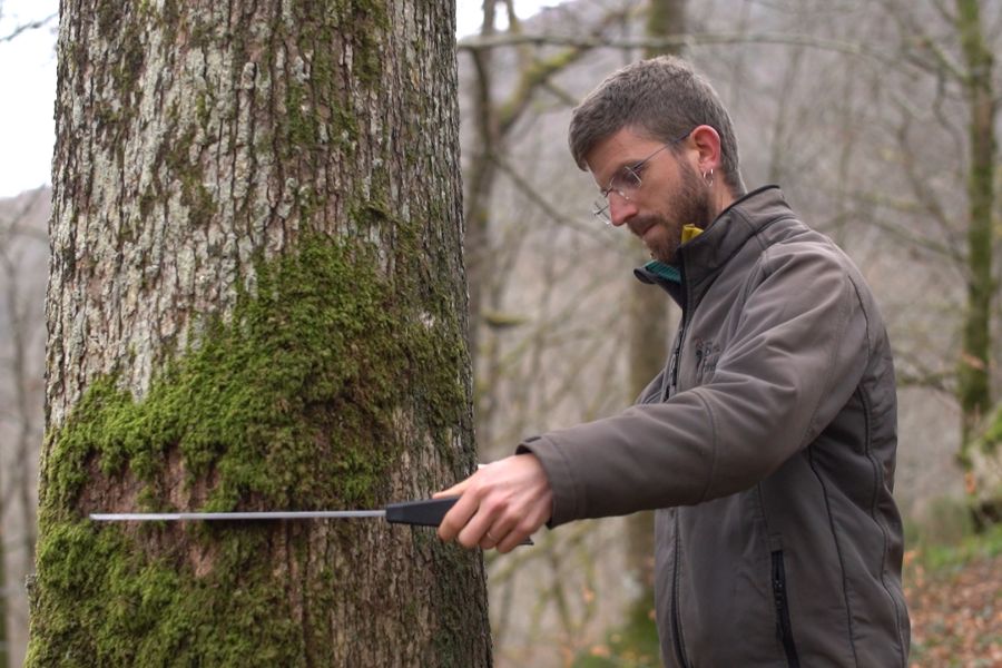 foto proyecto Planificación y ordenación forestal