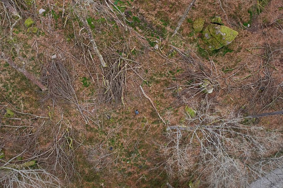 foto proyecto Evaluación ecológica