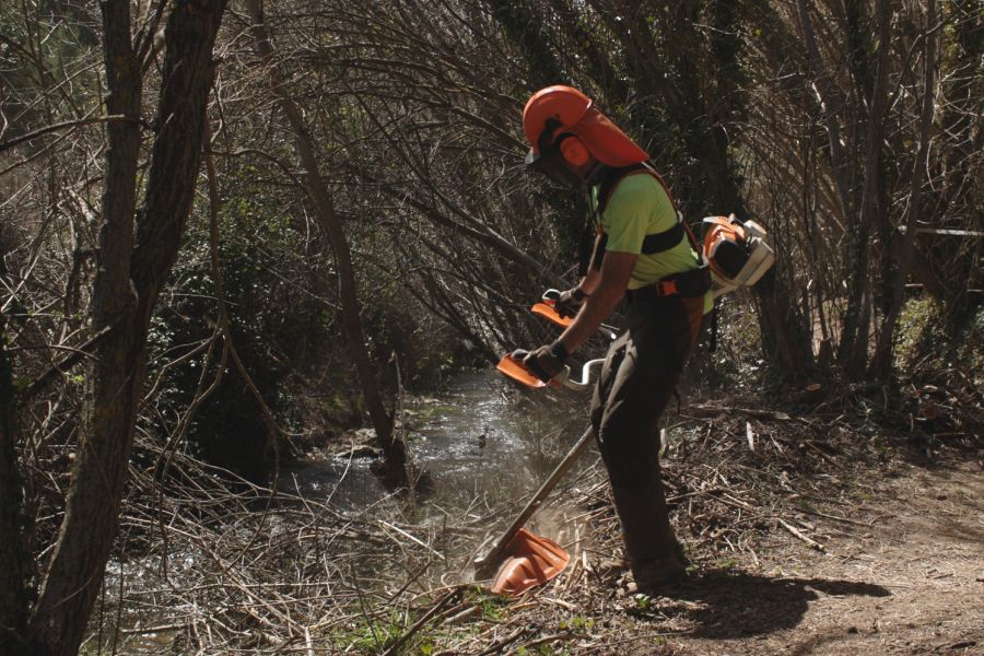foto proyecto Aprovechamientos y tratamientos forestales