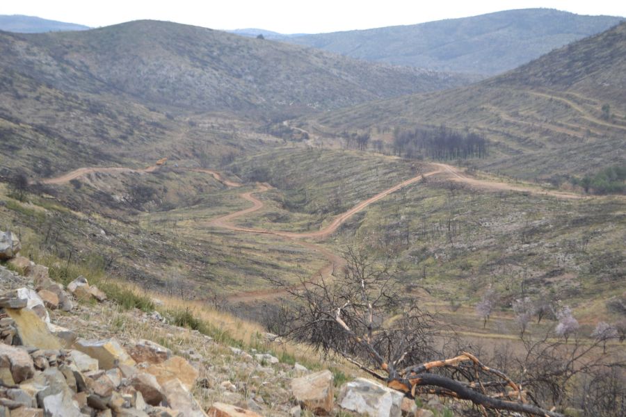 foto proyecto Prevención de incendios