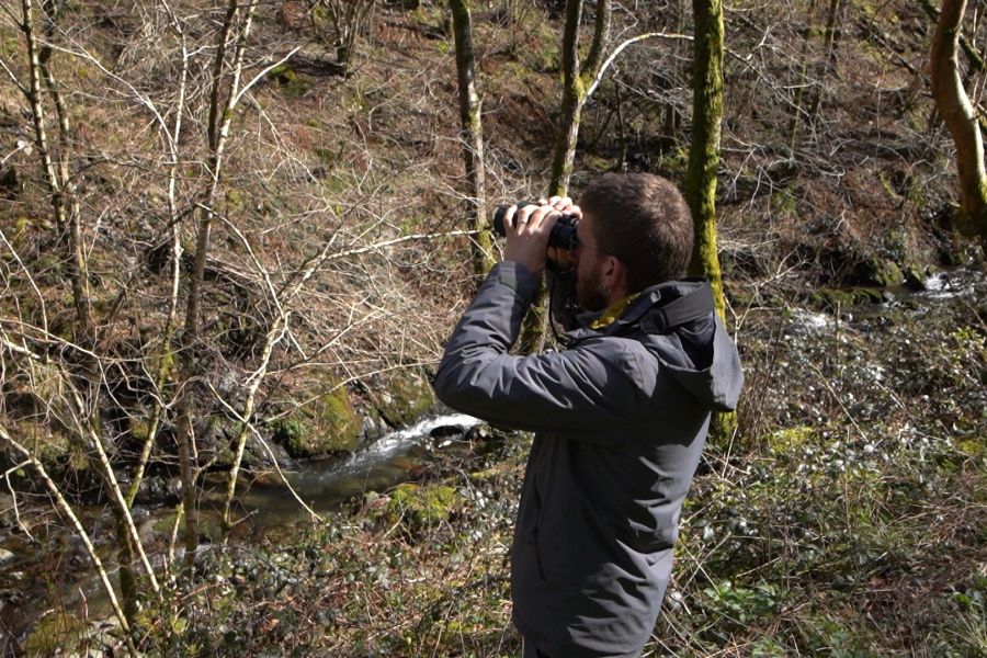foto proyecto Planificación y ordenación forestal