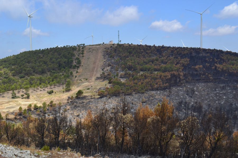 foto proyecto Prevención de incendios