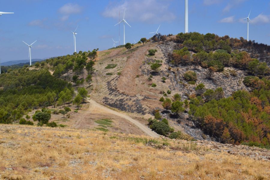 foto proyecto Prevención de incendios