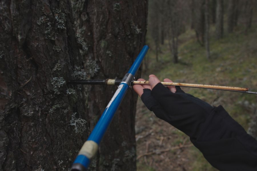 foto proyecto Planificación y ordenación forestal