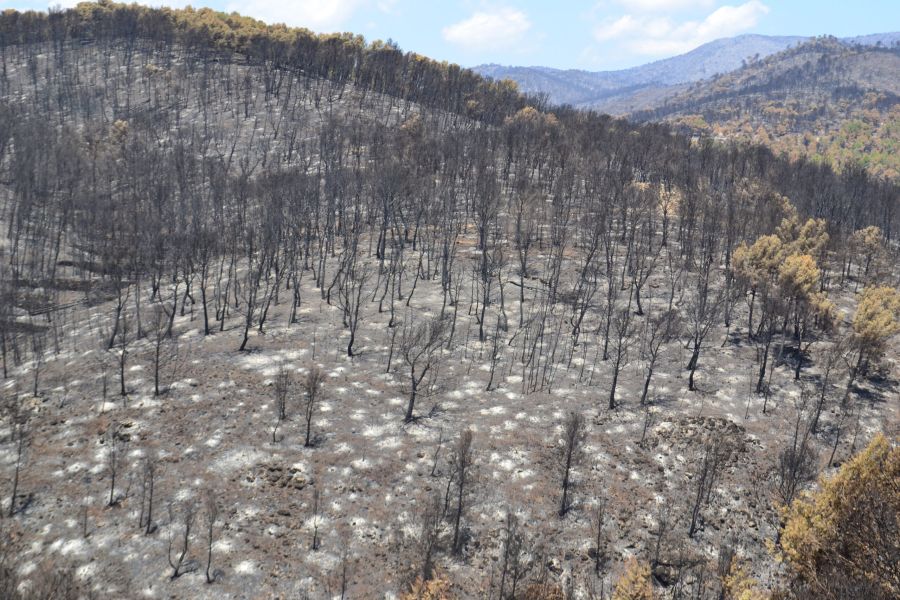foto proyecto Prevención de incendios