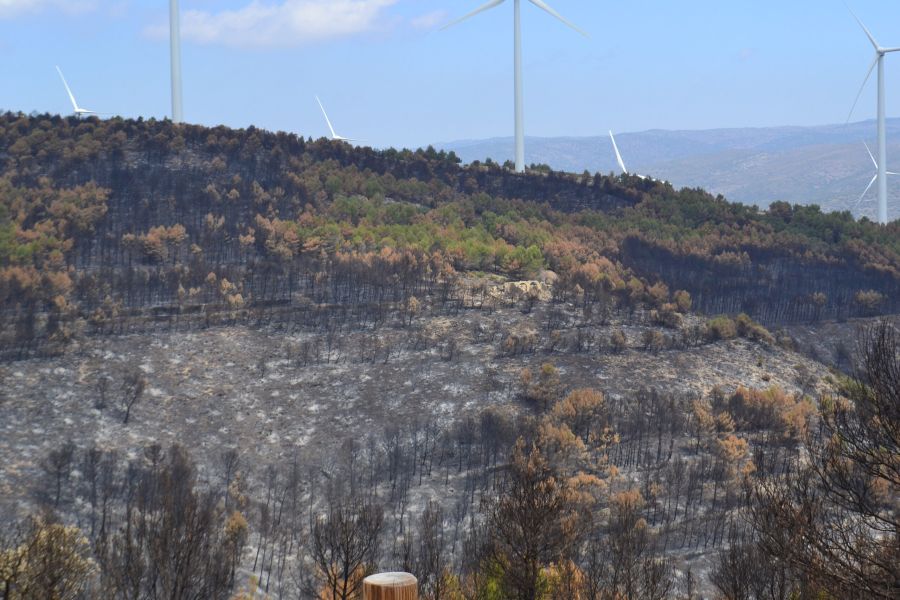 foto proyecto Prevención de incendios