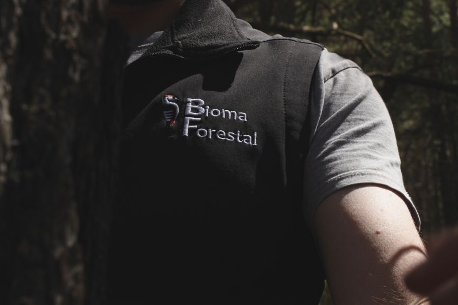 foto proyecto Planificación y ordenación forestal