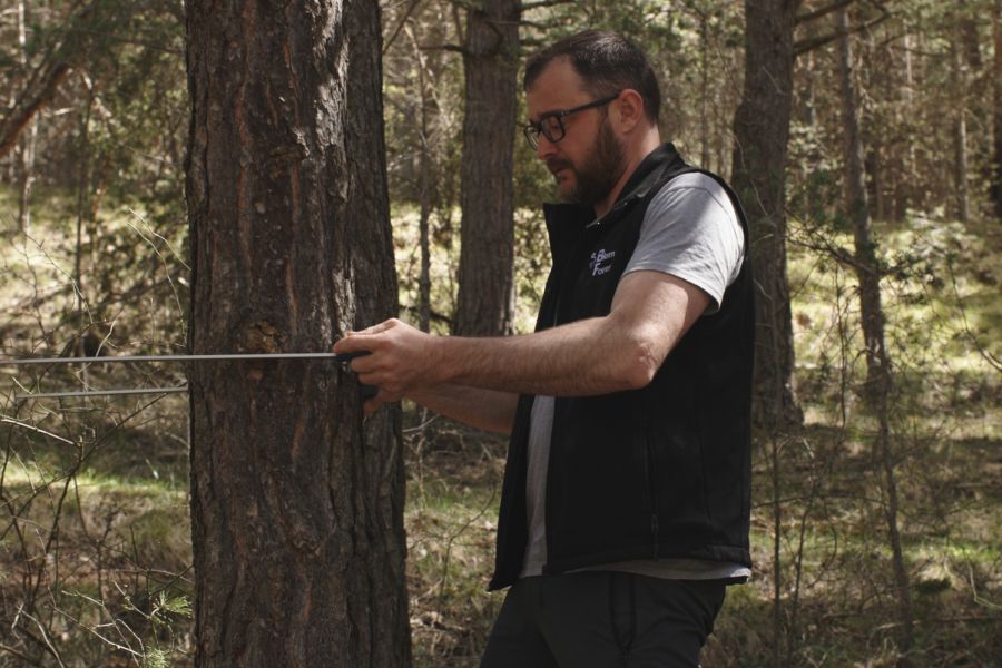 foto proyecto Planificación y ordenación forestal
