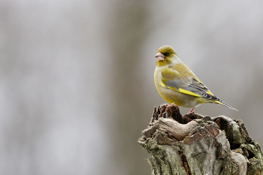 foto proyecto Hábitats