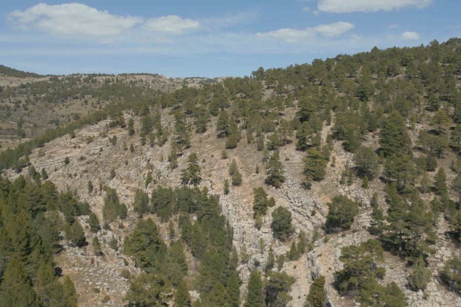 foto proyecto Evaluación ecológica