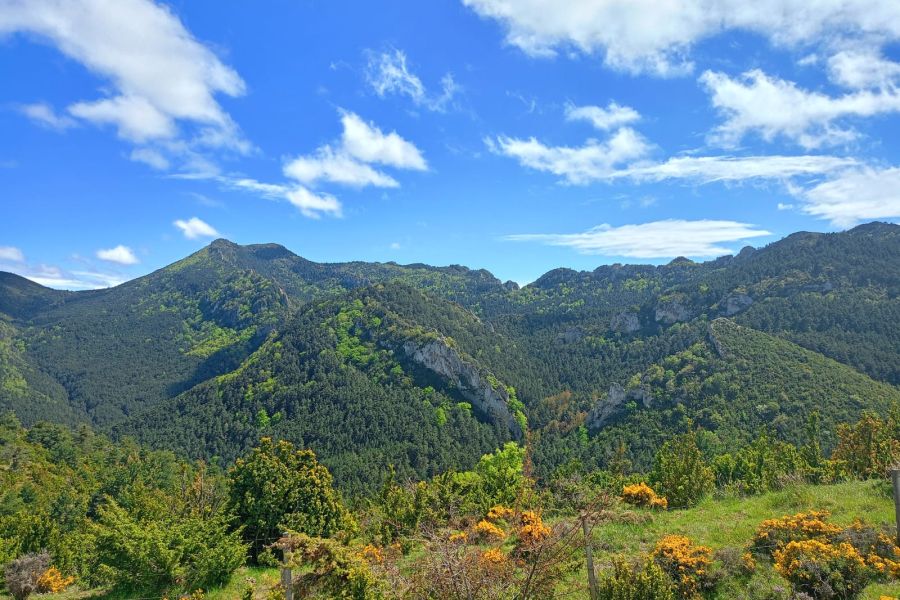 foto proyecto Evaluación ecológica