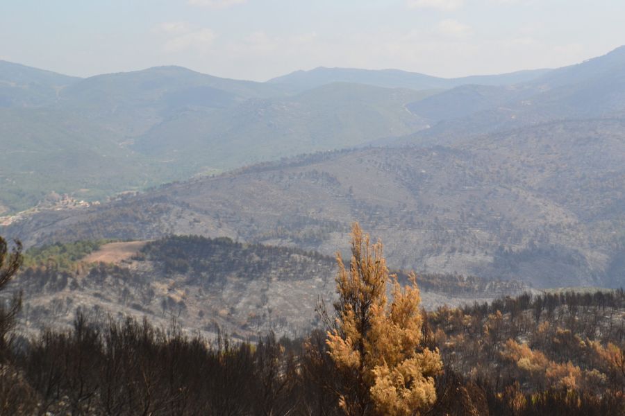 foto proyecto Prevención de incendios