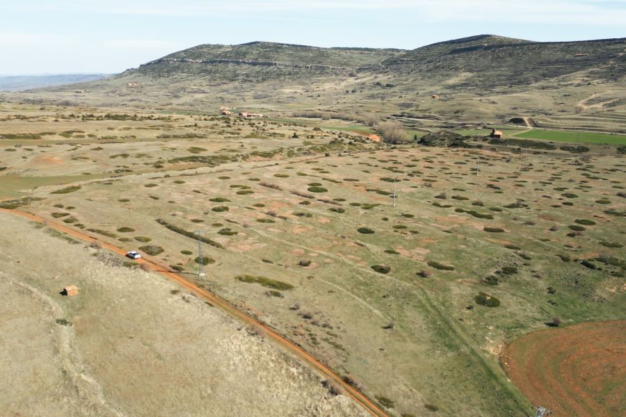 foto proyecto Aprovechamientos y tratamientos forestales